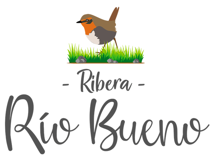 Logo proyecto