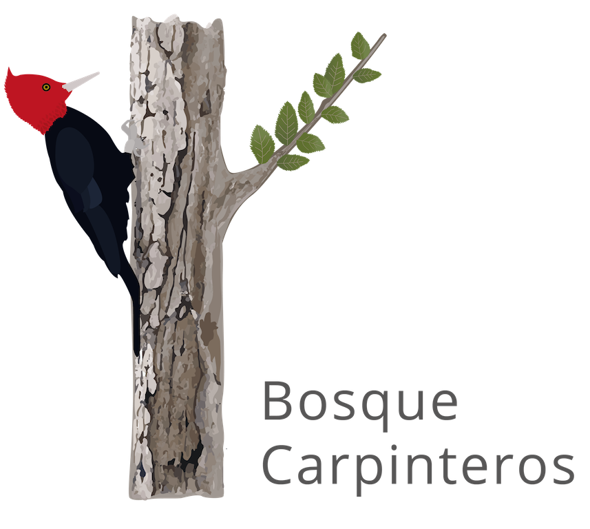 imagenes-empresas