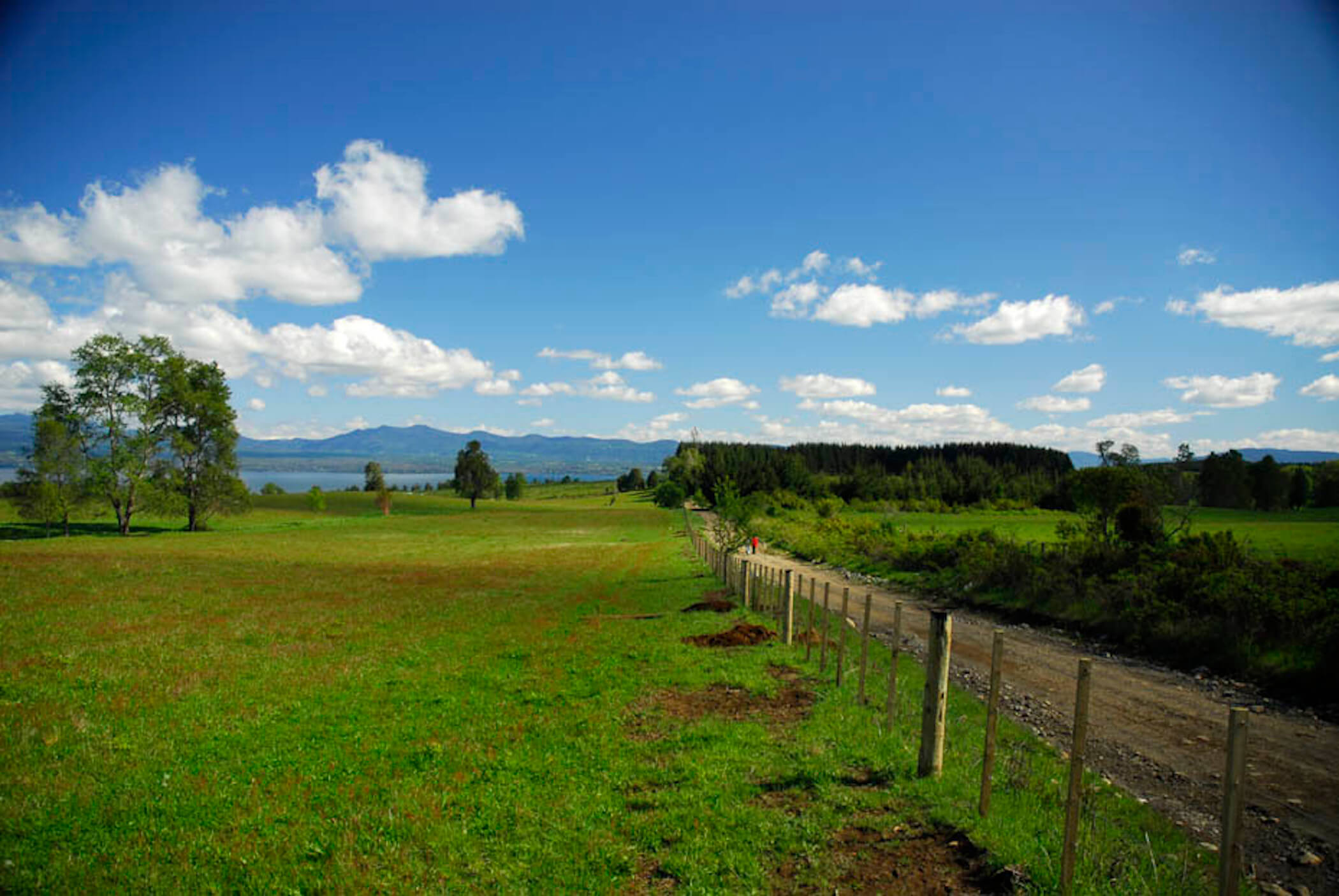 Mirador del Lago Villarrica - La Araucanía