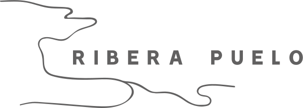 PortalTerreno  logo
