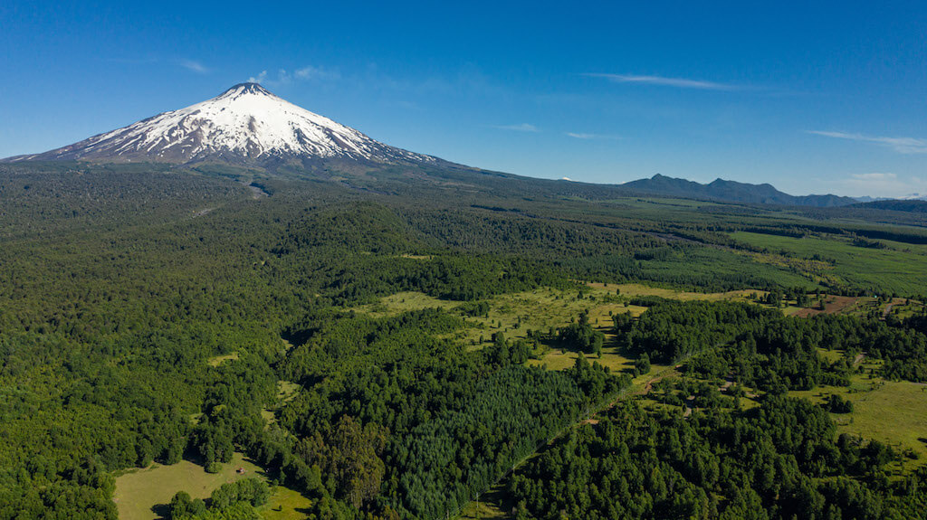 Gran Roble Pucón Villarrica - La Araucanía