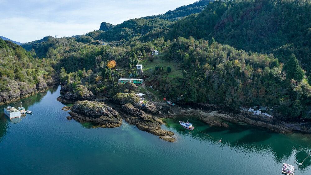 Estuario Reloncaví Marineli Cochamó - Los Lagos