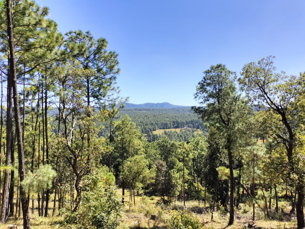 Cumbres de Tapalpa Tapalpa - Tapalpa