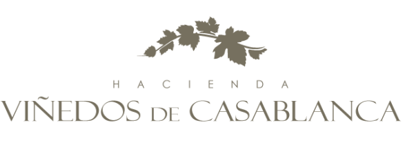 Viñedos Valle de Casablanca logo