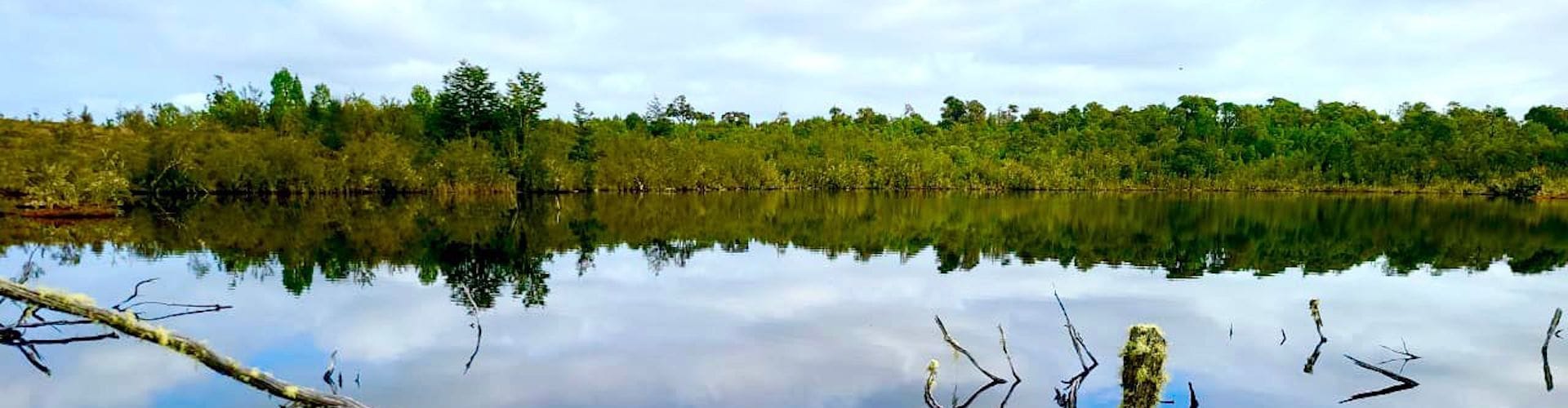 Laguna Quemchi Quemchi - Los Lagos