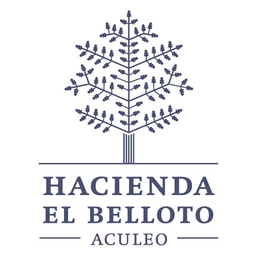 Inmobiliaria El Belloto S.A. logo