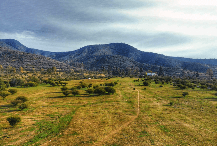 Los Olivos - Fundo Las Piedras Quilpué - Valparaíso