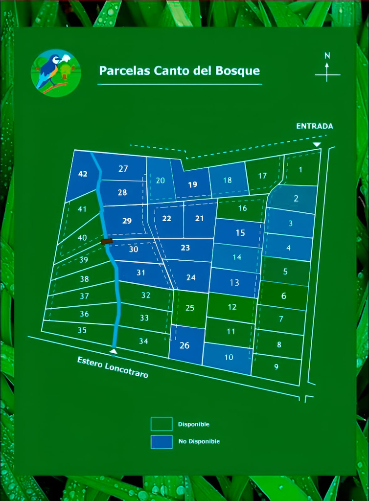 Master Plan