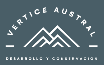 Vértice Austral logo