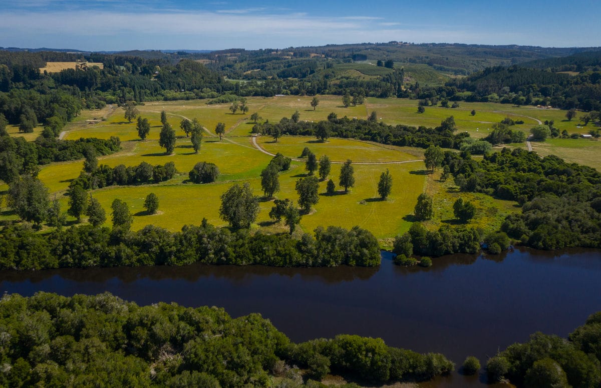 Raíces del río Rahue Osorno - Los Lagos