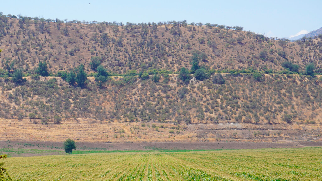 Valle de Arboleda Santa Cruz - O'Higgins