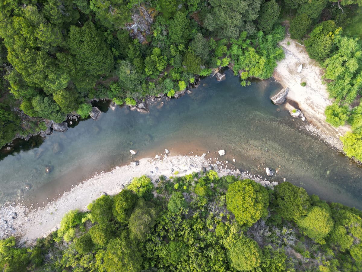 Bosque La Esperanza Lago Verde - Aysén