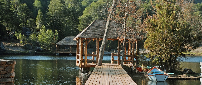 Parque El Buchén Potrero grande - Maule