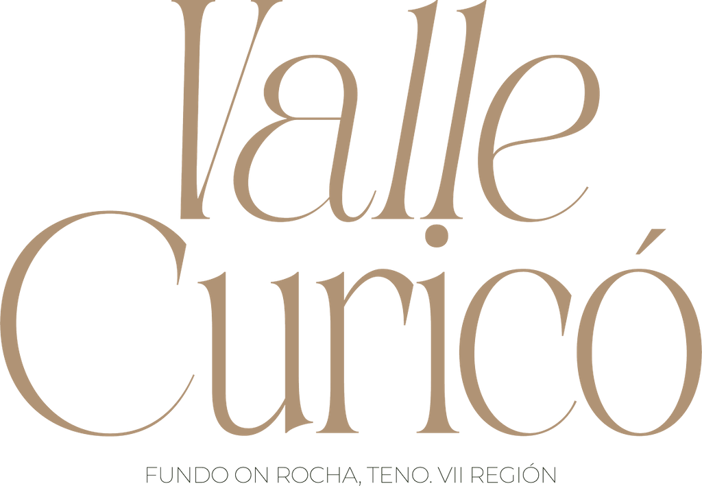 Valle Curicó logo