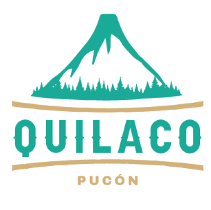 null logo