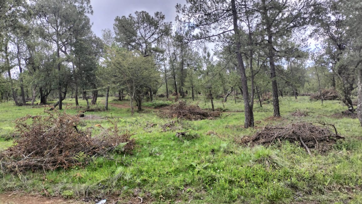 Los Robles Ferreria de Tula - Tapalpa