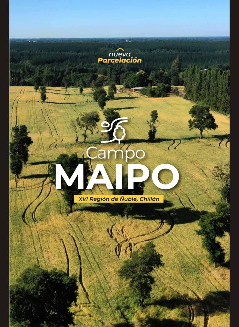 Venta Terreno El carmen - Ñuble