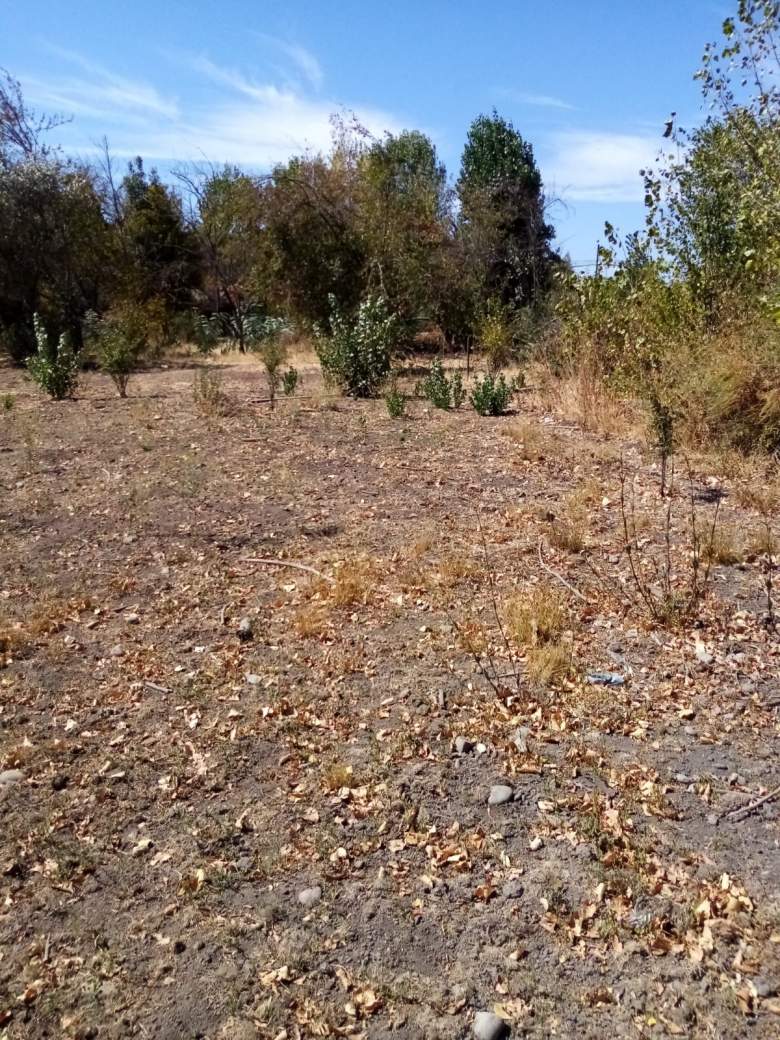 Venta Terreno Villa alegre - Maule