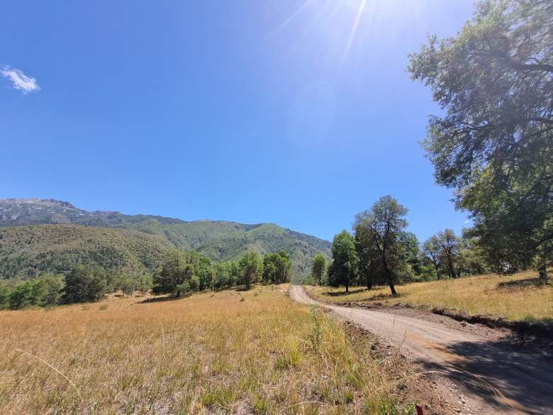 Venta Terreno Lonquimay - La Araucanía