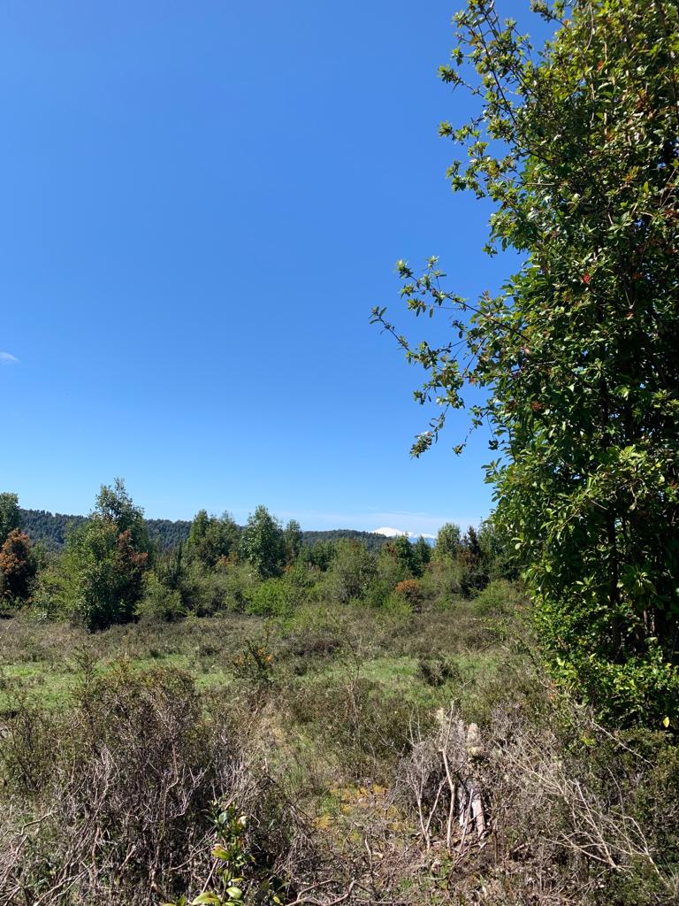 Venta Terreno Queilén - Los Lagos