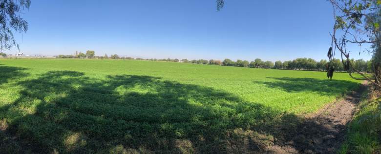 Venta Comercial Corregidora - Querétaro