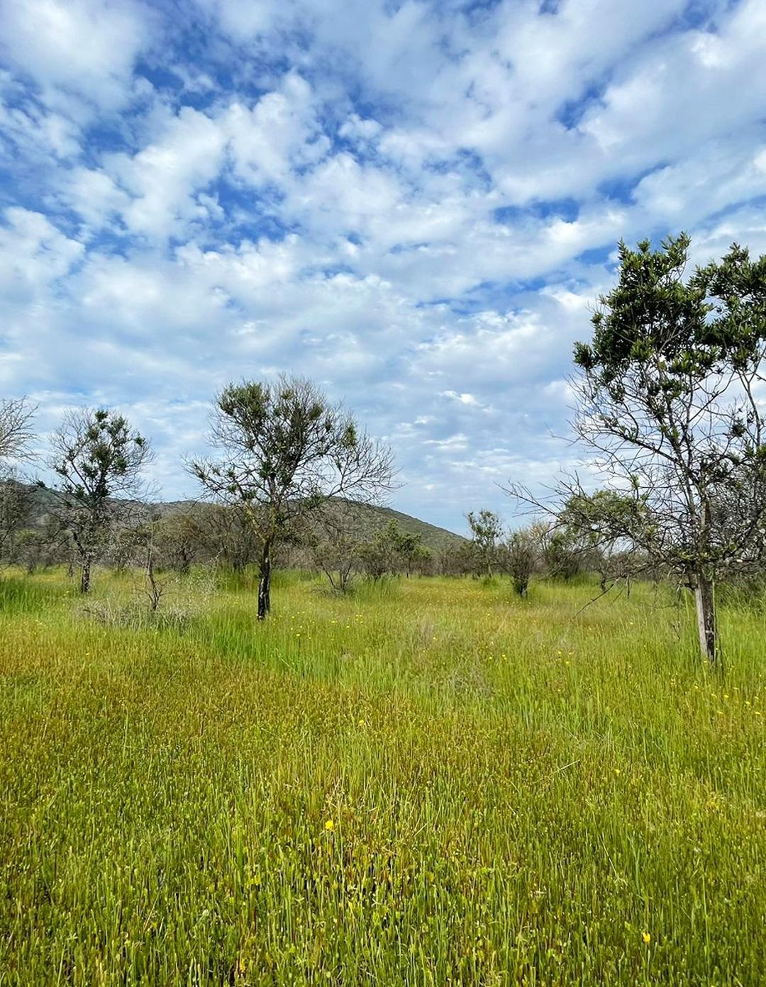 Venta Terreno Marchigüe - O'Higgins