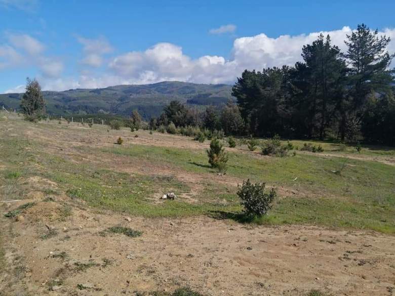 Venta Inversión Angol - La Araucanía