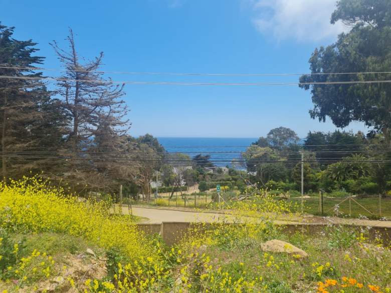 Venta Sitio Zapallar - Valparaíso