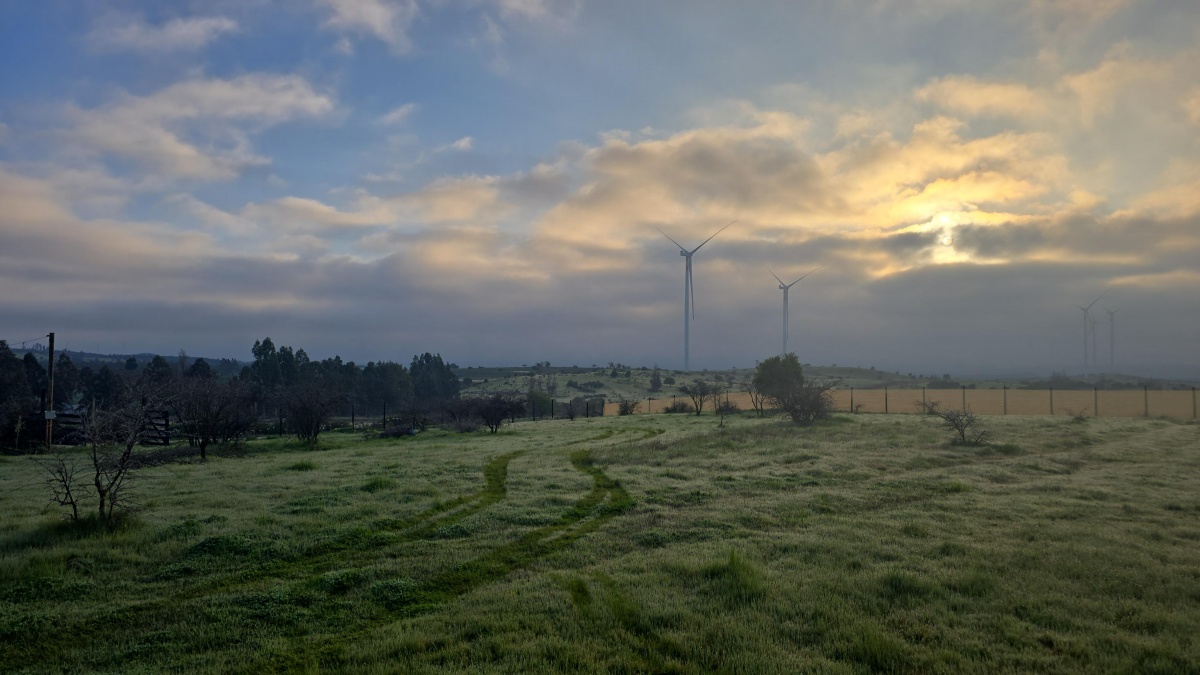 Venta Parcela Litueche - O'Higgins