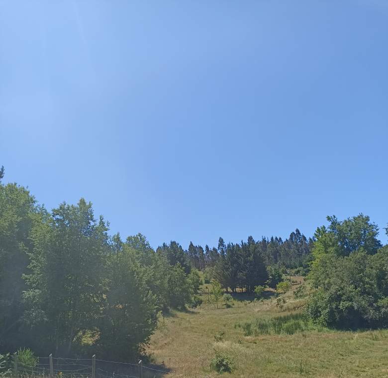 Venta Terreno Hualqui - Biobío