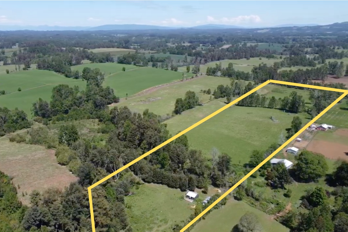 Venta Terreno Pitrufquén - La Araucanía