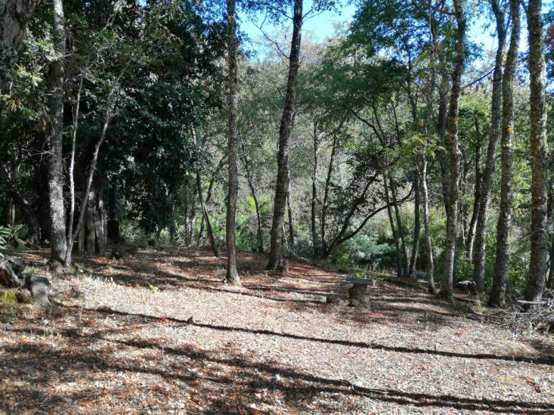 Venta Terreno Angol - La Araucanía