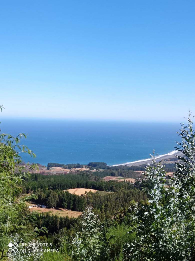Venta Terreno Pelluhue - Maule