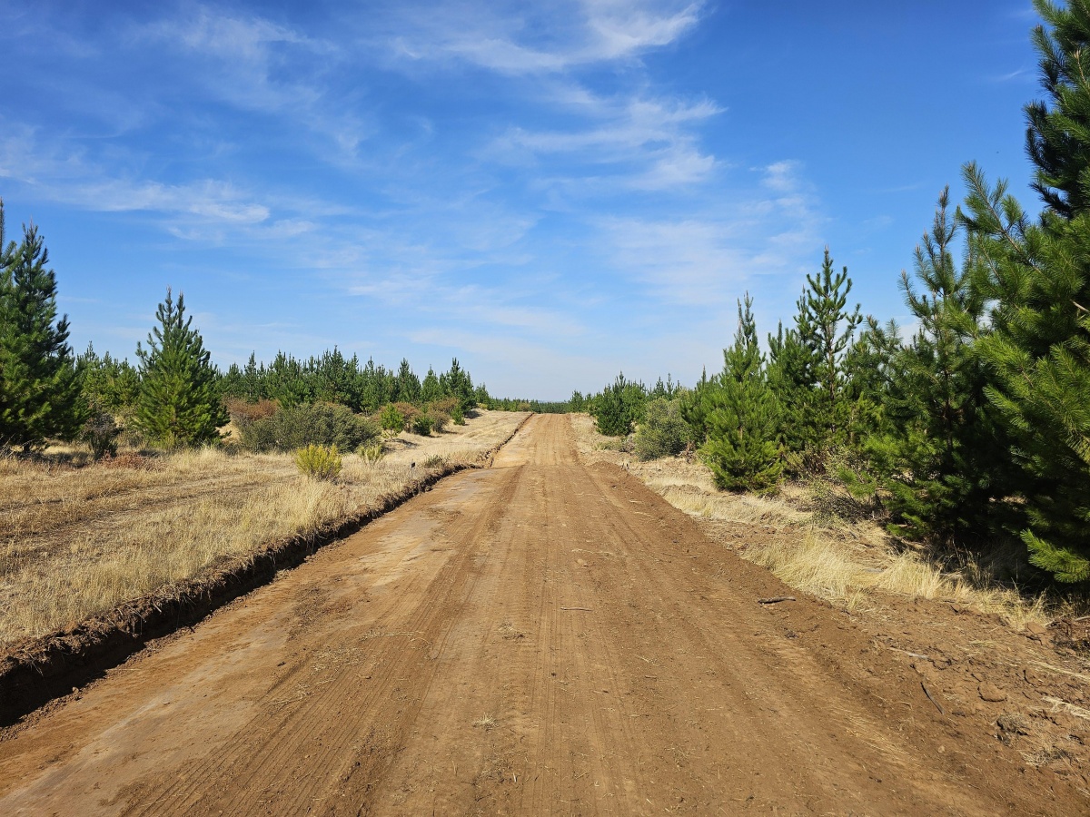 Venta Terreno Cauquenes - Maule