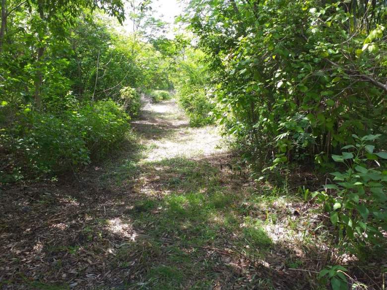 Venta Terreno / Lote Puerto Real - Carmen
