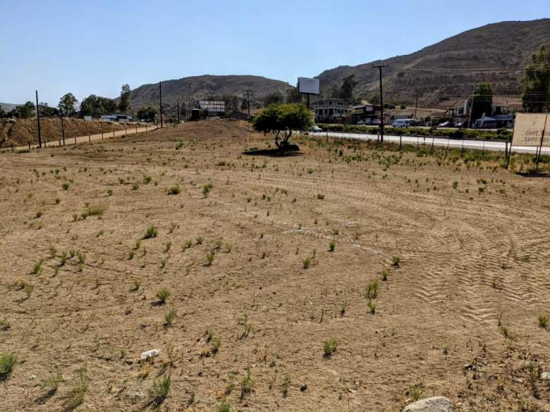 Venta Comercial Tijuana - Baja California
