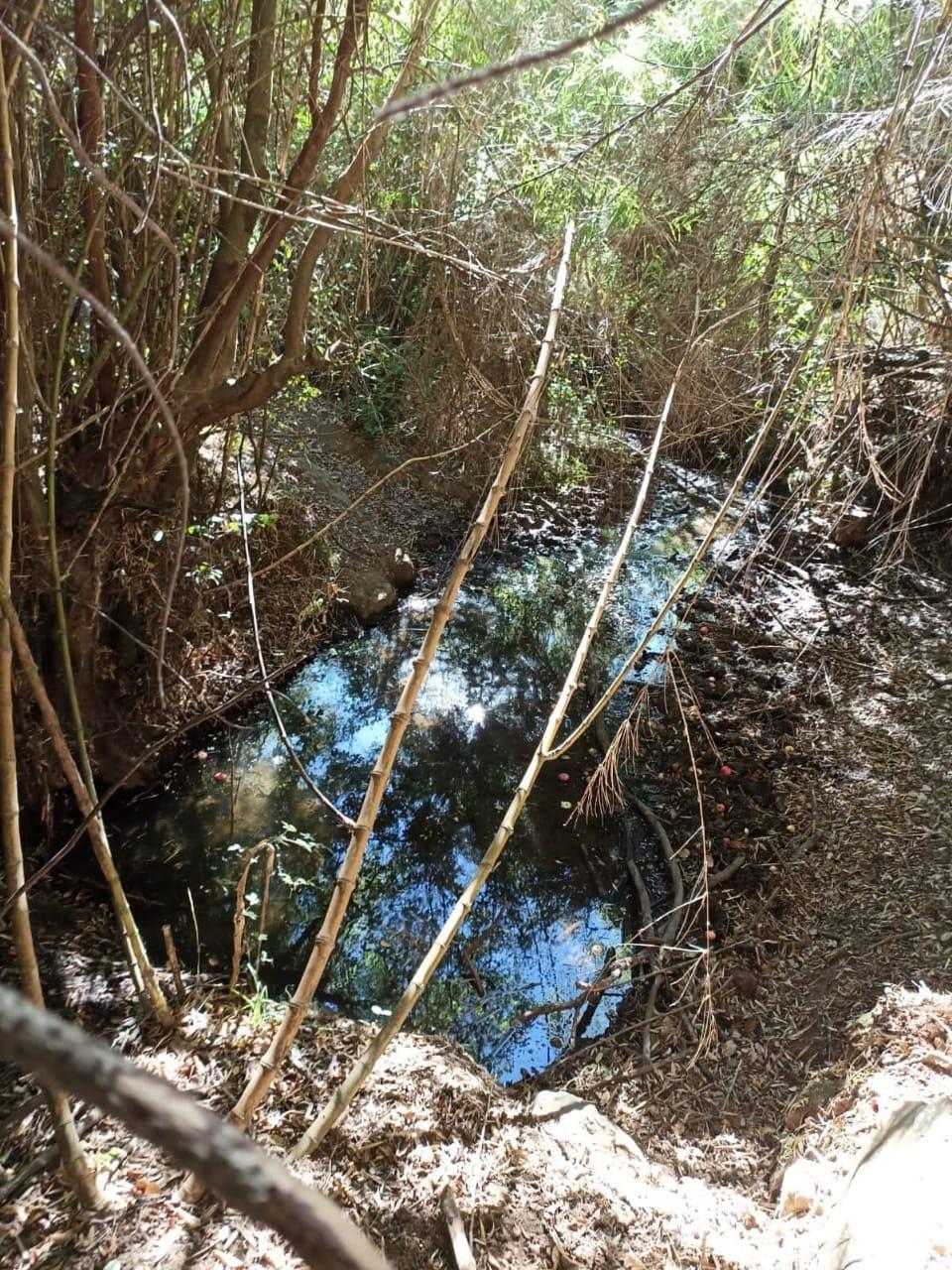 Venta Terreno Nacimiento - Biobío