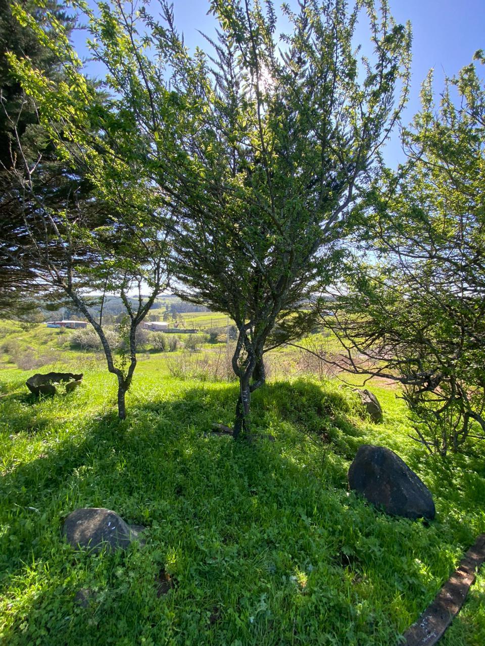 Venta Terreno Yumbel - Biobío