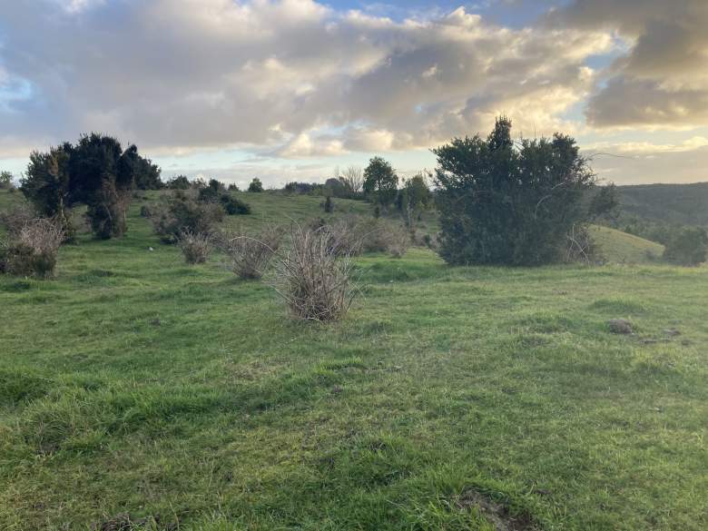 Venta Terreno Maullín - Los Lagos
