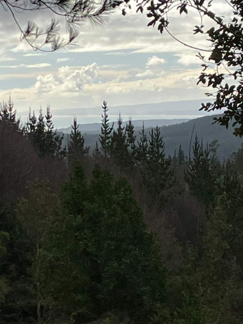 Venta Terreno Pelluhue - Maule