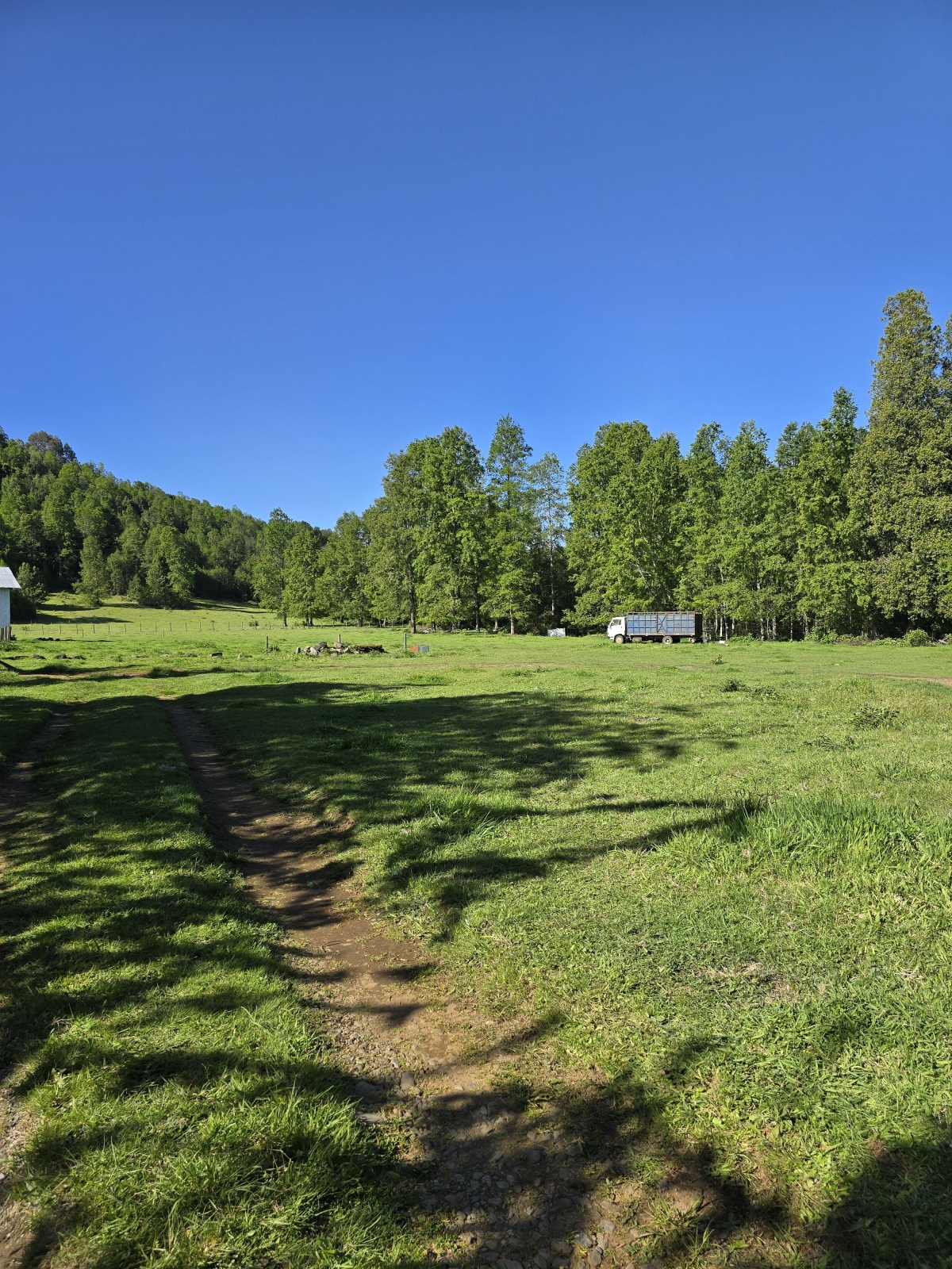 Venta Parcela Villarrica - La Araucanía