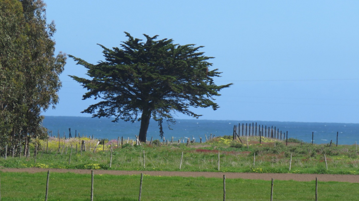 Venta Terreno Cobquecura - Ñuble
