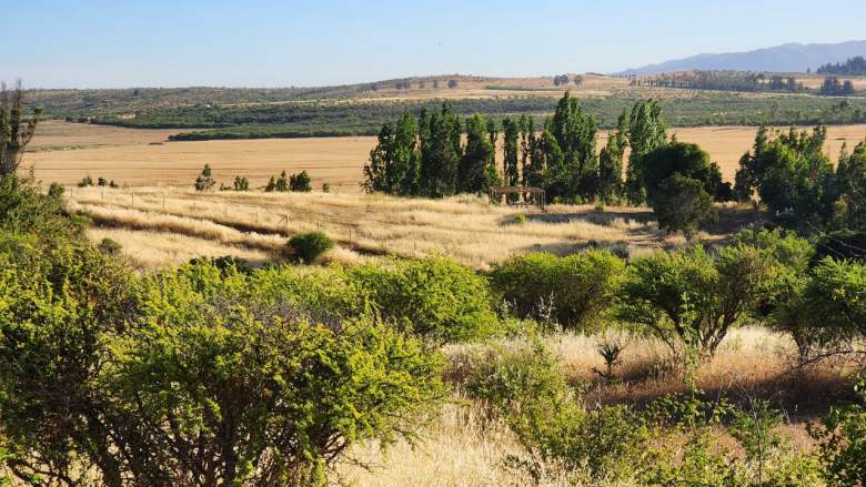 Venta Terreno San nicolás - Ñuble