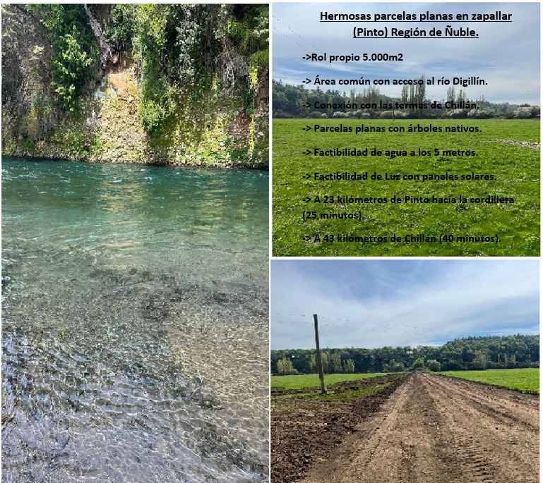 Venta Terreno San ignacio - Ñuble
