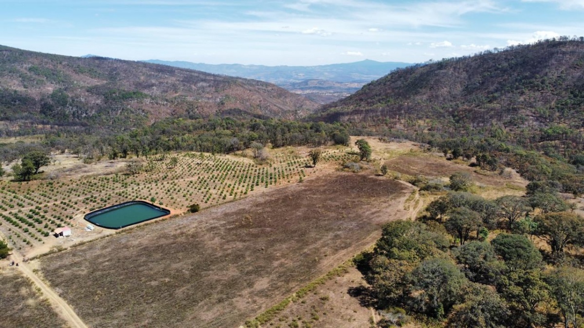 Venta Agrícola Cuautla - Cuautla