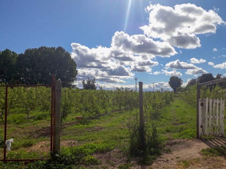 Venta Terreno Chépica - O'Higgins