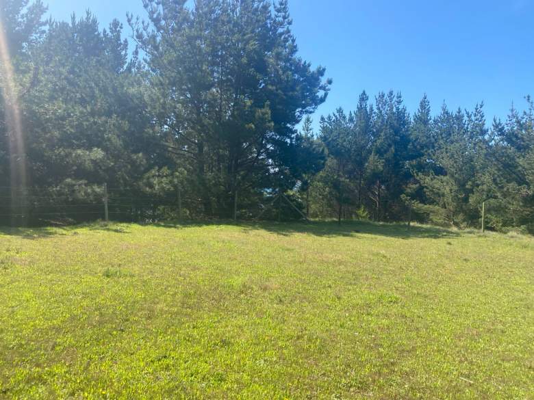 Venta Terreno Treguaco - Ñuble