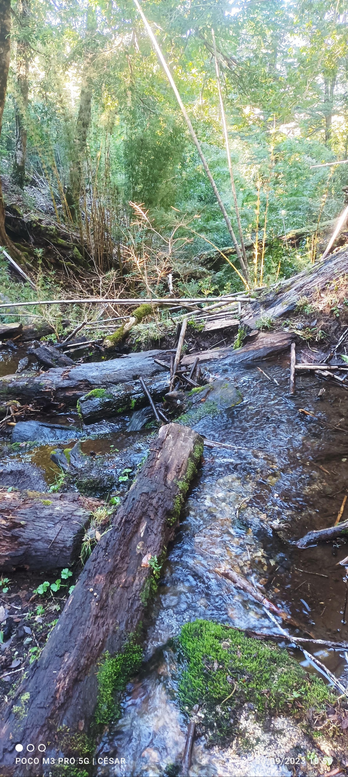 Venta Terreno Melipeuco - La Araucanía