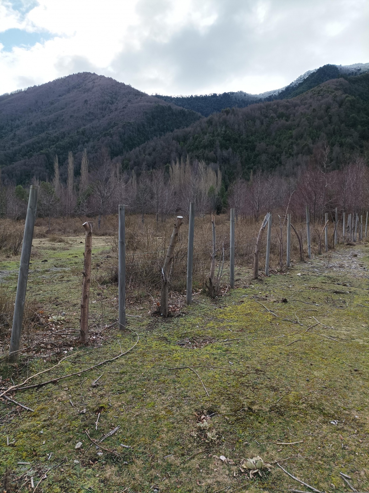 Venta Terreno Melipeuco - La Araucanía