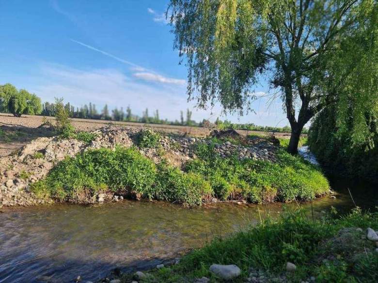 Venta Terreno Villa alegre - Maule